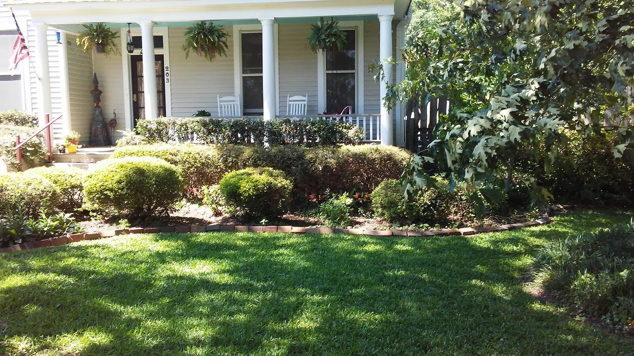 לינה וארוחת בוקר פלסטין Fig Tree Manor מראה חיצוני תמונה