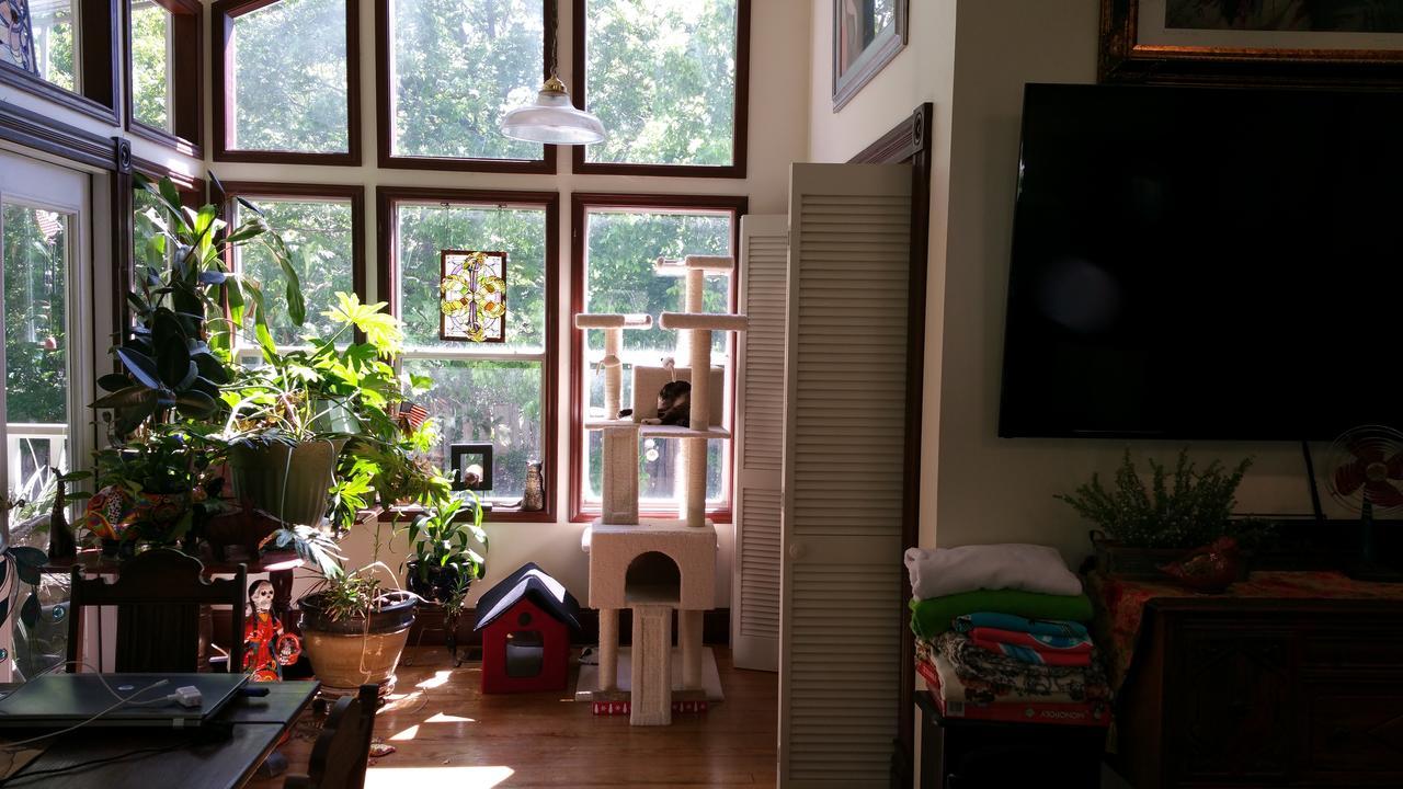 לינה וארוחת בוקר פלסטין Fig Tree Manor מראה חיצוני תמונה